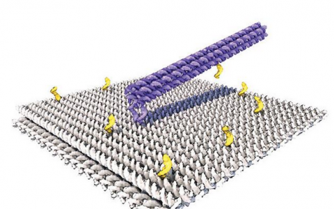 由DNA組成的機(jī)械手臂以令人眩暈的速度移動(dòng)