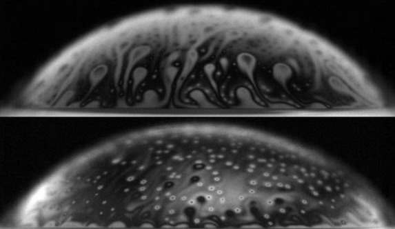 泡沫:當(dāng)然 他們看起來無辜的 但是他們可以Bacteria-Spreading威脅