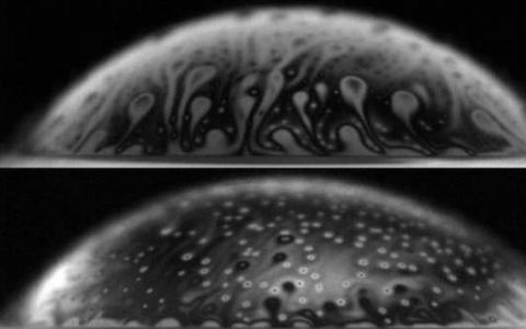 泡沫:當(dāng)然 他們看起來(lái)無(wú)辜的 但是他們可以Bacteria-Spreading威脅