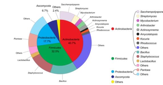 Imec的elPrep軟件大大加速了基因組測序分析