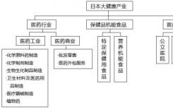 日本大健康產(chǎn)業(yè)范疇界定研究分析、環(huán)境分析、經(jīng)驗借鑒