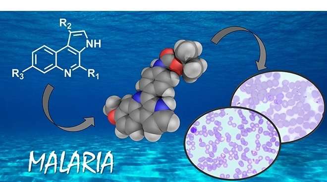 一個(gè)新的高效的選擇性分子對(duì)抗瘧疾