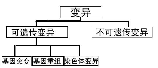 基因突變可使結(jié)直腸癌患者對化療具有抗性