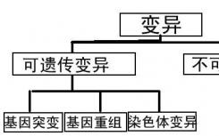 基因突變可使結(jié)直腸癌患者對(duì)化療具有抗性