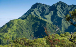 植物微生物如何養(yǎng)活世界并拯救瀕危物種