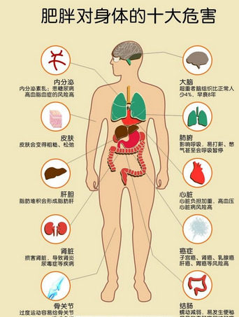 對(duì)酒精的渴望可能與肥胖有關(guān)