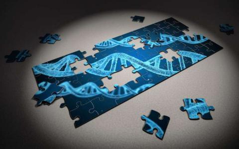 研究人員發(fā)現(xiàn)破壞CRISPR-Cas9基因的編輯機(jī)制