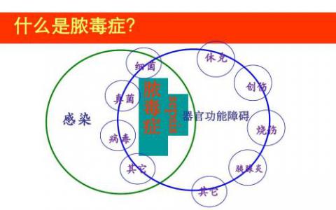 南卡羅來納醫(yī)科大學的科學家發(fā)現(xiàn)新療法可有效治療膿毒癥