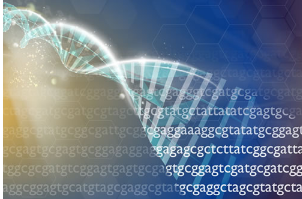 美國國立衛(wèi)生研究院承諾投入670萬美元用于推進DNA RNA測序技術(shù)