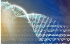 美國(guó)國(guó)立衛(wèi)生研究院承諾投入670萬美元用于推進(jìn)DNA RNA測(cè)序技術(shù)