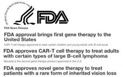 FDA批準的CAR-T療法和BsAb