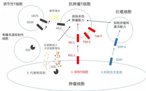 藥明生物使用WuXiBody(TM)開發(fā)雙抗