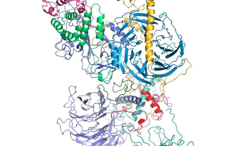 科學家形象分子對基因調控至關重要