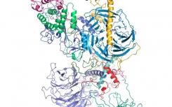 科學家形象分子對基因調控至關重要