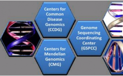 NHGRI基因組測(cè)序程序在人類疾病基因組學(xué)方面開(kāi)辟道路