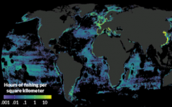 新的地圖顯示了捕撈對世界海洋的影響程度