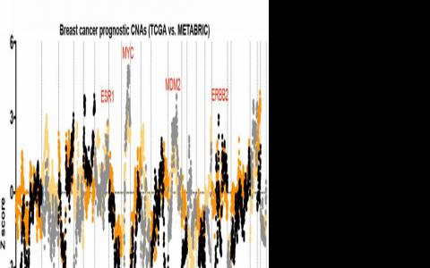 特定癌癥中發(fā)現(xiàn)新型生物標志物