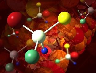 東部綠寶石Elysia竊取藻類的基因像植物一樣生活