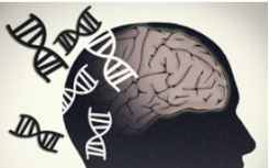 阿爾茨海默病將這些片段與綜合基因組學(xué)結(jié)合起來