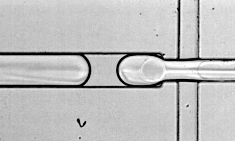 Human Cell Atlas希望揭開隱藏在我們基因中的神秘面紗