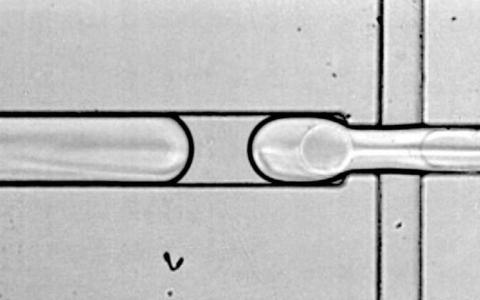 Human Cell Atlas希望揭開(kāi)隱藏在我們基因中的神秘面紗