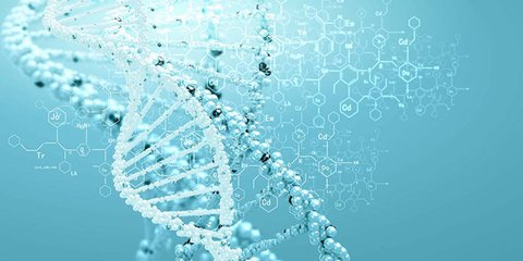 科學(xué)家編輯基因以阻止疾病遺傳