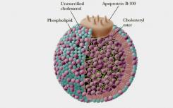 科學家們確定了影響“壞”膽固醇的四個基因