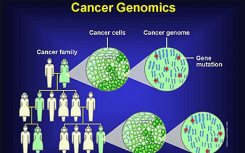 揭示癌癥基因組的考古景觀