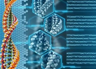 英國的嬰兒現(xiàn)在如何合法地擁有來自三個人的DNA