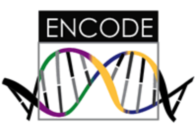 ENCODE RFA擴大努力以了解基因組