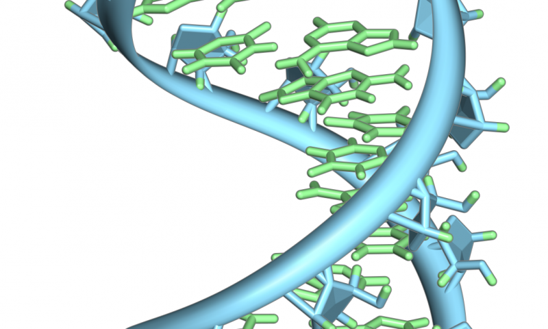 未發(fā)現(xiàn)CRISPR-Cas系統(tǒng)的新細(xì)菌防御機制