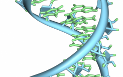 未發(fā)現(xiàn)CRISPR-Cas系統(tǒng)的新細菌防御機制