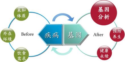 研究人員展示了癌癥基因如何保護(hù)基因組組織