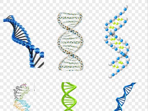 碘確保成功解決生物分子結(jié)構(gòu)