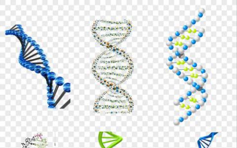 碘確保成功解決生物分子結(jié)構(gòu)