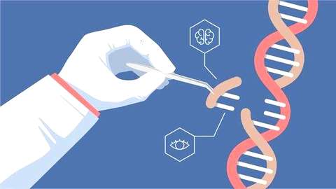 沒(méi)有設(shè)計(jì)師嬰兒 但基因編輯 以避免疾病 