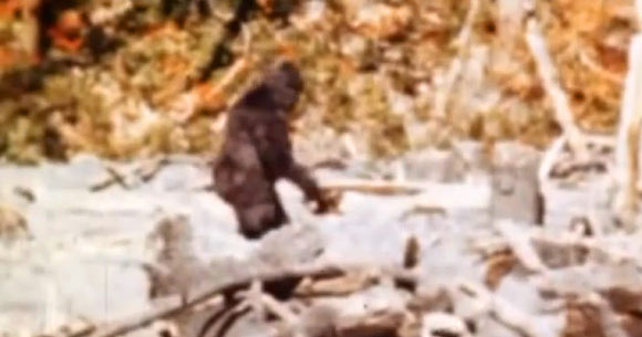 Patterson-Gimlin??μ??±???é????????é?￠???1967?1′10???20??￥Roger Patterson???Robert Gimlin??¨?￥￥?°?è?ˉè￥?????o|25???é???¤??????????é????ˉ?23??ˉ?μ?Bluff Creek?????????????1?????????μ??±?????????|??°??o????