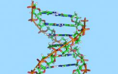 研究人員發(fā)現(xiàn)隱藏在DNA中的第二個(gè)代碼