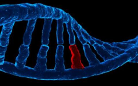 科學家開發(fā)出可視化基因突變的方法