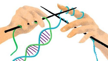 使用酶來控制CRISPR / Cas系統(tǒng) 該酶也控制遺傳信息轉(zhuǎn)化為蛋白質(zhì)