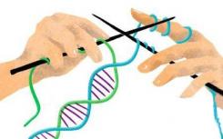 使用酶來(lái)控制CRISPR / Cas系統(tǒng) 該酶也控制遺傳信息轉(zhuǎn)化為蛋白質(zhì)