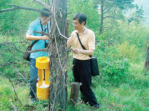 通過Malaise誘捕樣本和DNA條形碼監(jiān)測昆蟲生物多樣性的效率