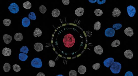 根據(jù)單細胞分子研究進行生物學教育