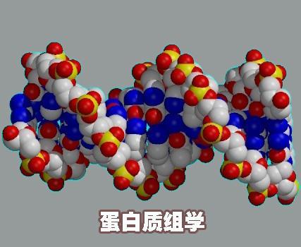 量子躍進(jìn)基于質(zhì)譜的蛋白質(zhì)組學(xué)的可靠性