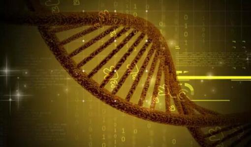 DNA繪圖工具可幫助科學(xué)家更好地了解基因的調(diào)控方式