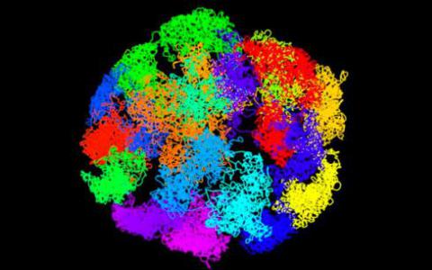 研究人員描述了DNA片段的重復如何影響基因組的三維結構