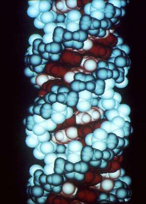 CRISPR工具箱通過蛋白質(zhì)擴(kuò)增 以兩種不同的方式切割RNA