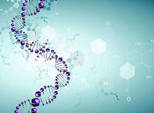 環(huán)境DNA揭示了河流中的生物多樣性