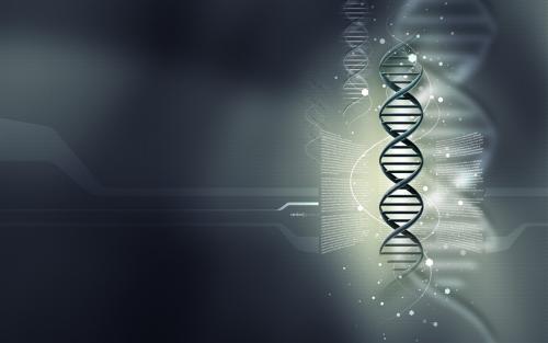 CRISPR-Cas9系統(tǒng)的變異提供了編輯而不會(huì)削減兩條DNA鏈