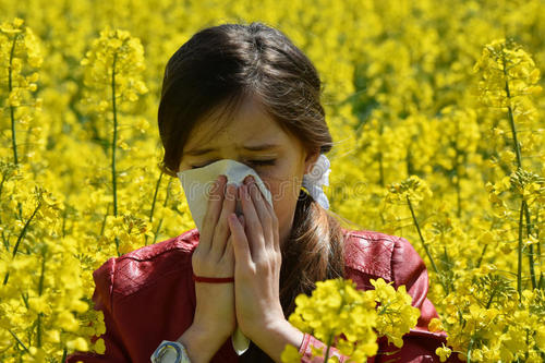 基因組學(xué)研究指出花粉過敏原的起源